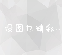 揭秘石家庄顶尖网络优化公司：高效服务与创新策略哪家强？